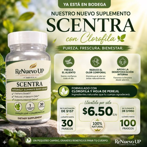 Picture of Scentra Special Promotion – Chlorophyll & Parsley
