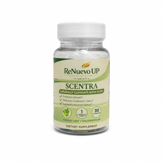 Picture of RENUEVO UP SCENTRA – INTERNAL FRESHNESS & BODY ODOR SUPPORT | 30 CAPSULES