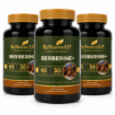 Picture of BERBERINE+ – 3 BOTTLES
